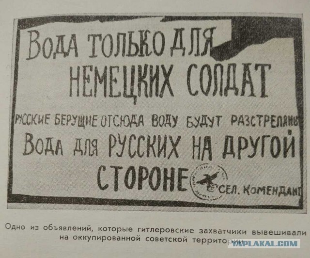 Политика и лишь о ней
