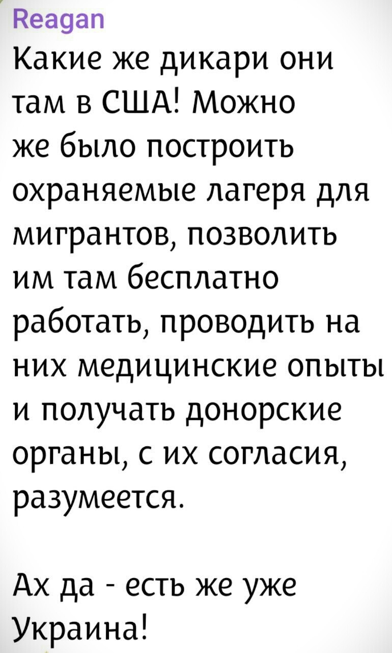 Политика и лишь о ней