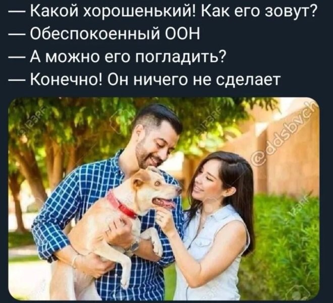 Смешные картинки