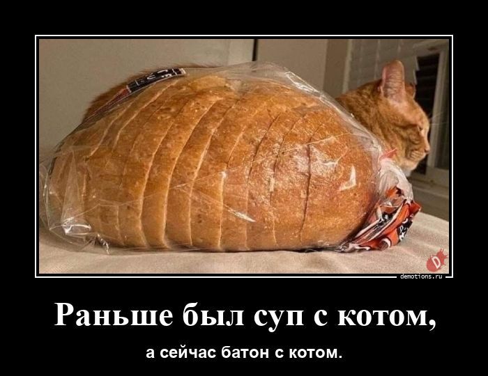 Прикольные демотиваторы