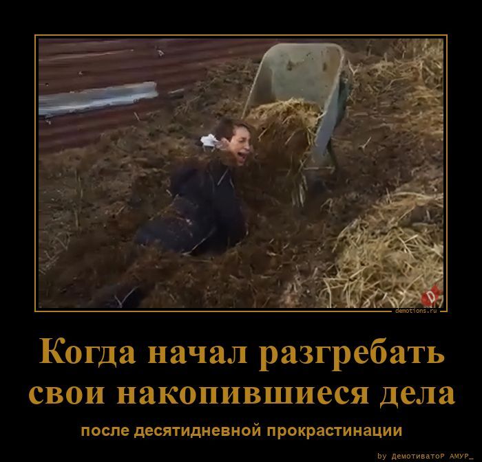 Прикольные демотиваторы