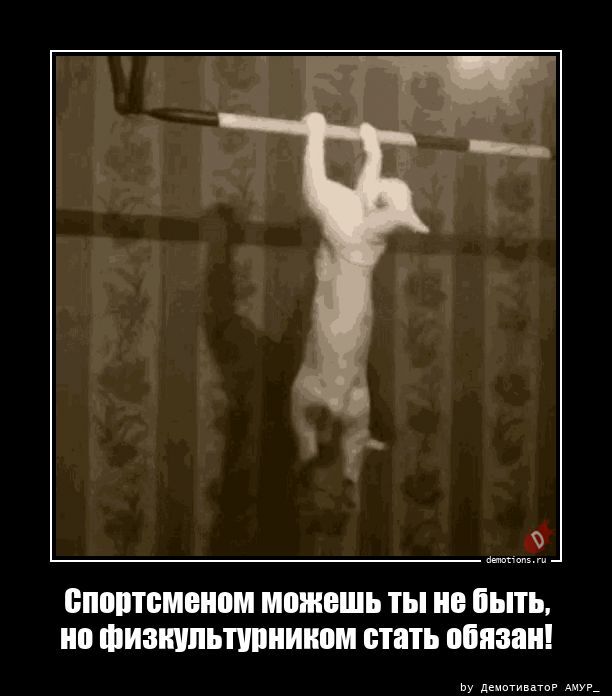 Прикольные демотиваторы