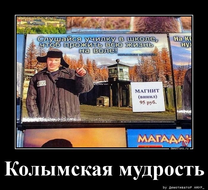 Прикольные демотиваторы