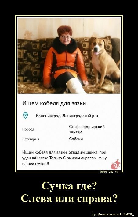 Прикольные демотиваторы
