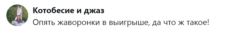 7. Пока совы спали, жаворонки сделали всё под себя