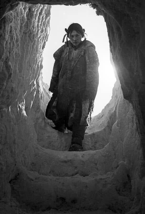 5. Девушка инуитка спускается в свой дом — ледяной иглу, 1940-е годы