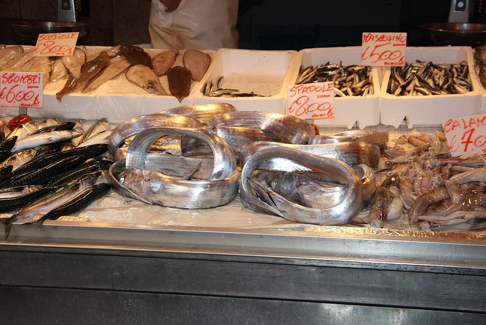 Рыба-сабля: её тело словно отлито из металла