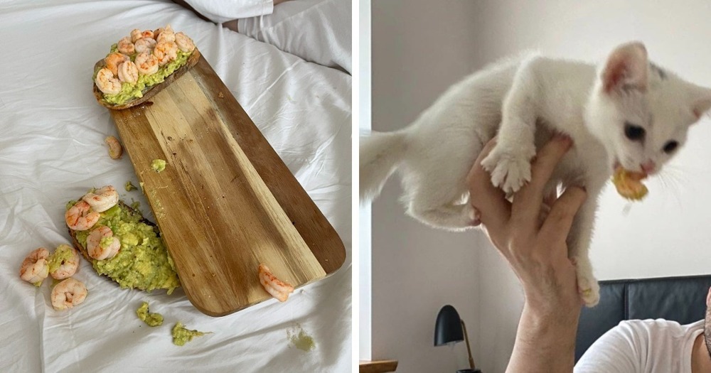 9. Попытка красивого завтрака была успешно провалена