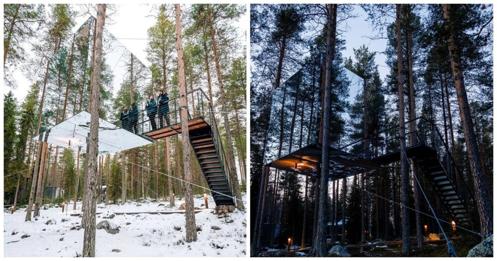 В Швеции сдают «невидимый» куб на дереве