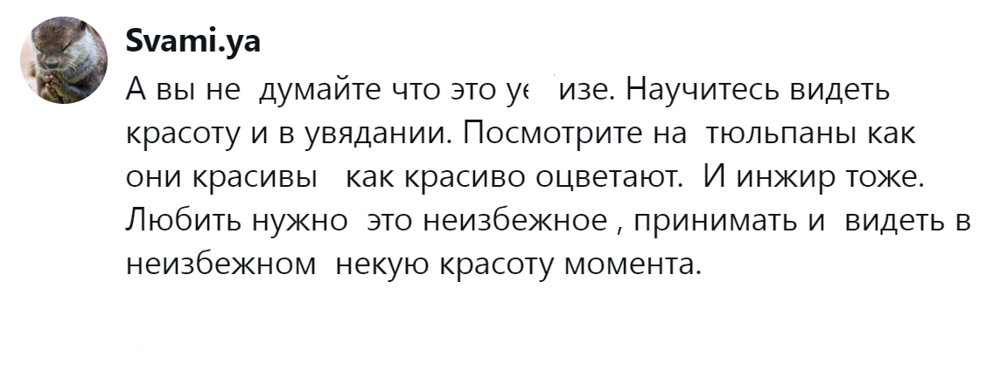 15. В неизбежности есть своя прелесть