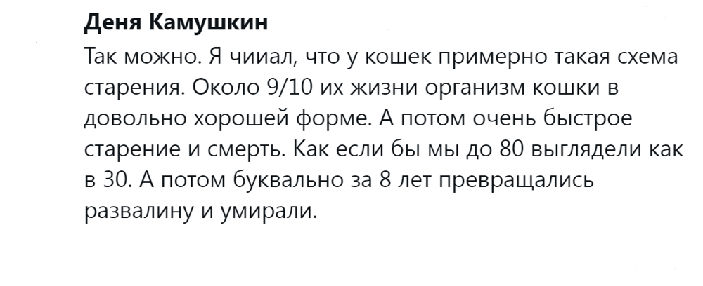 10. Кошки не похожи на людей