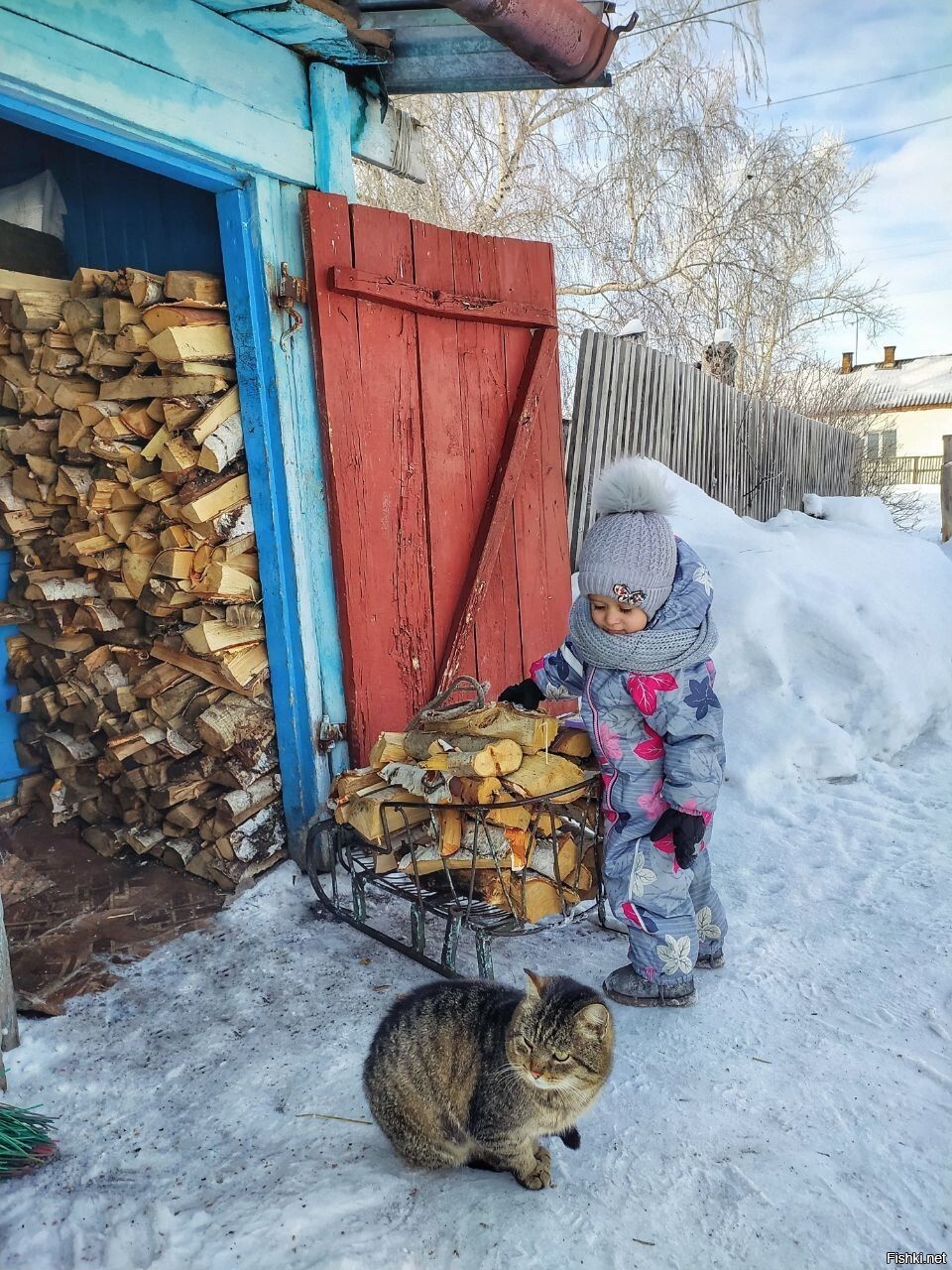 Солянка