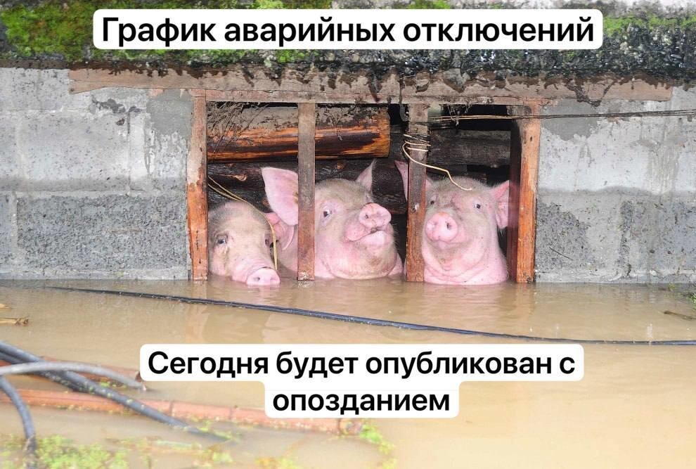 Политика и лишь о ней с малой оговоркой