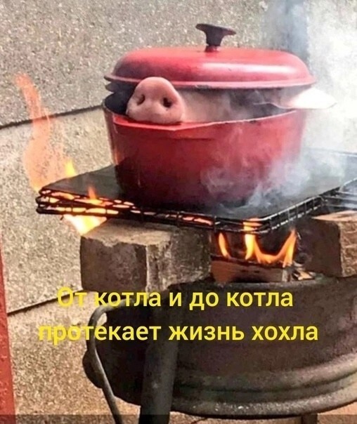 Политика и лишь о ней с малой оговоркой