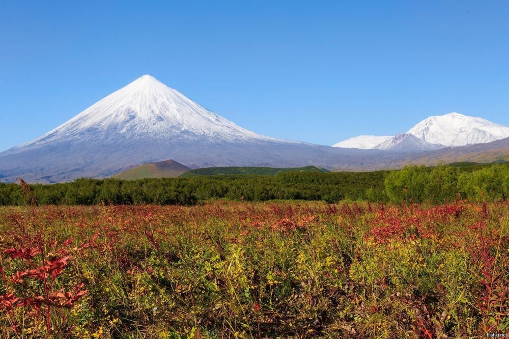 Солянка