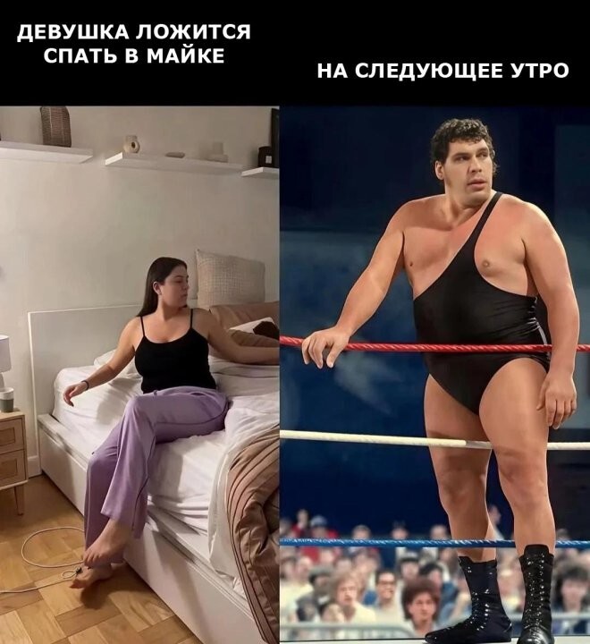 Смешные картинки