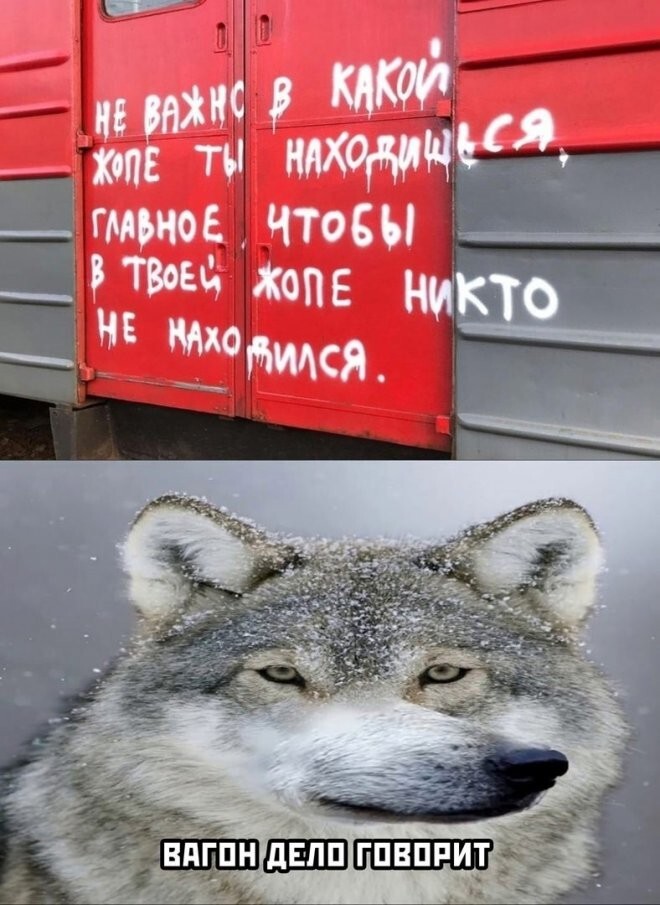Смешные картинки