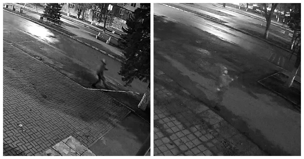 В Волгодонске неадекват подрался с деревом, разбил витрину музея и кричал неприличное о полиции