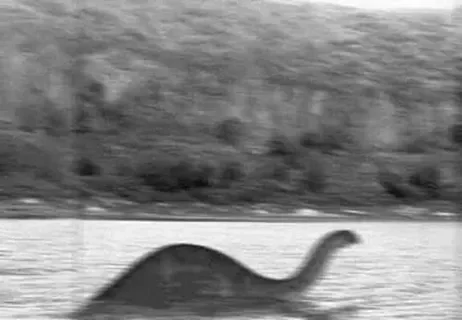 В поисках Мокеле-мбембе