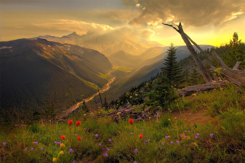 Красивые горы в Национальном парке Рейнир (Mount Rainier National Park). Автор неизвестен