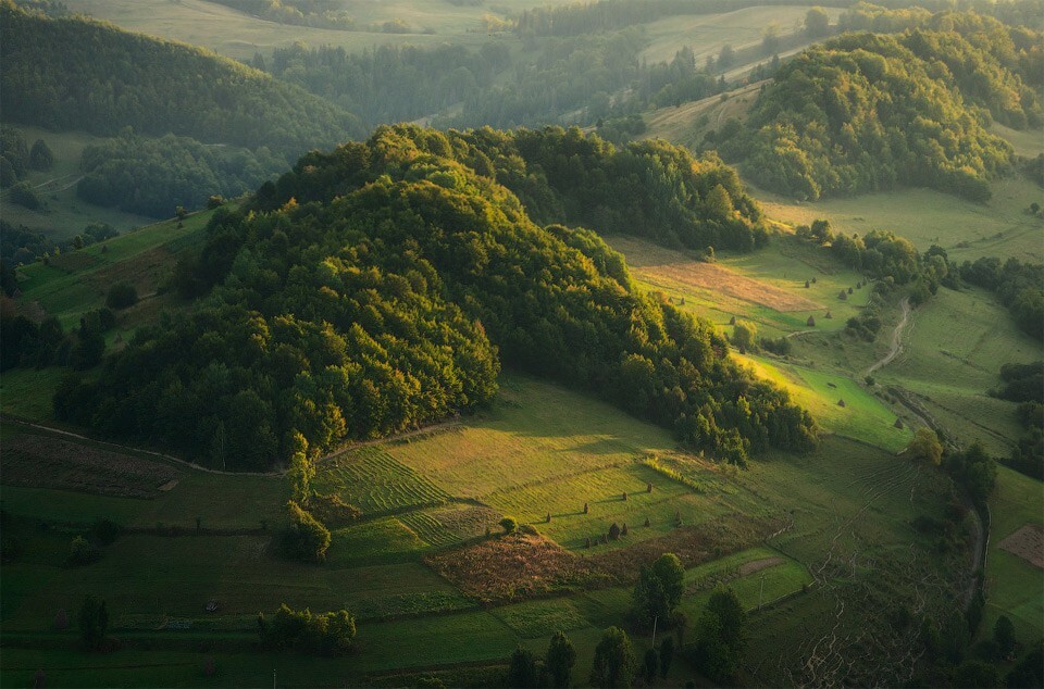 Холмы Карпатских гор. Фото-Алекс Гвоздицкий