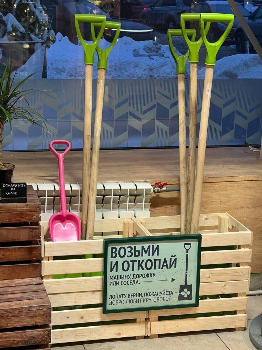 Глава думского комитета по ЖКХ предложила не жаловаться на плохую уборку снега и нанять дополнительных дворников
