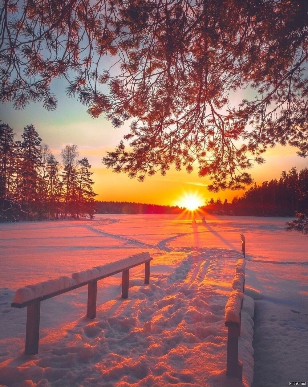 Солянка