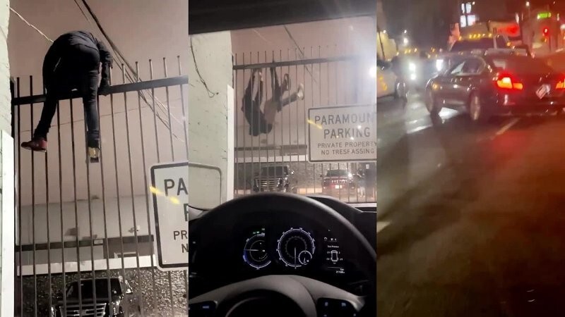 Попытка побега закончилась курьезом