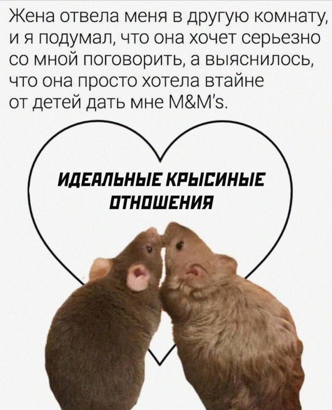 Смешные картинки