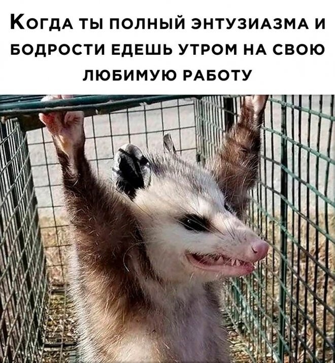 Смешные картинки