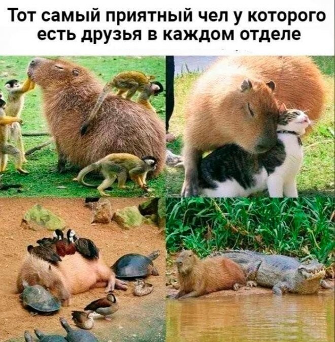 Смешные картинки
