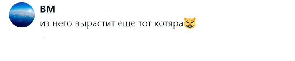 10. Будущий котик, у которого лапки