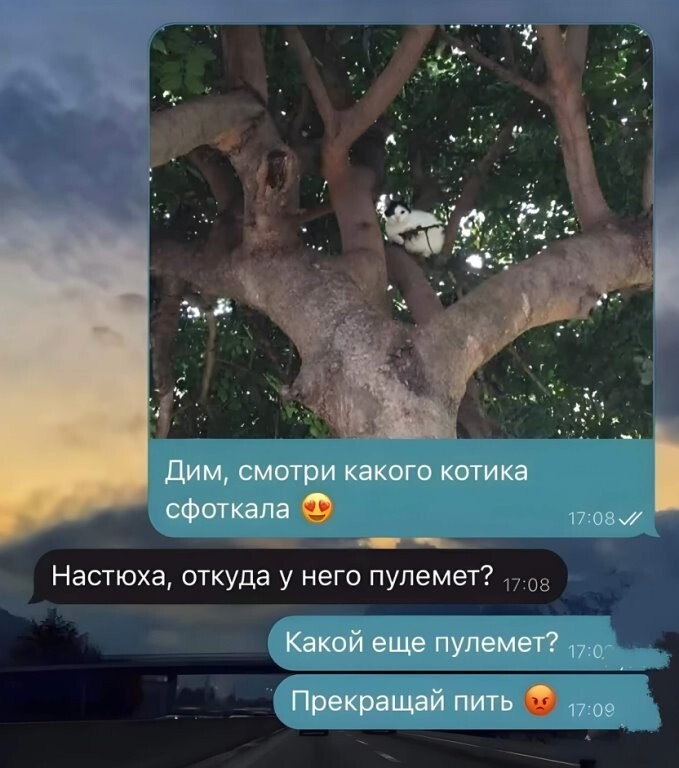 Большая тарелка улыбатора