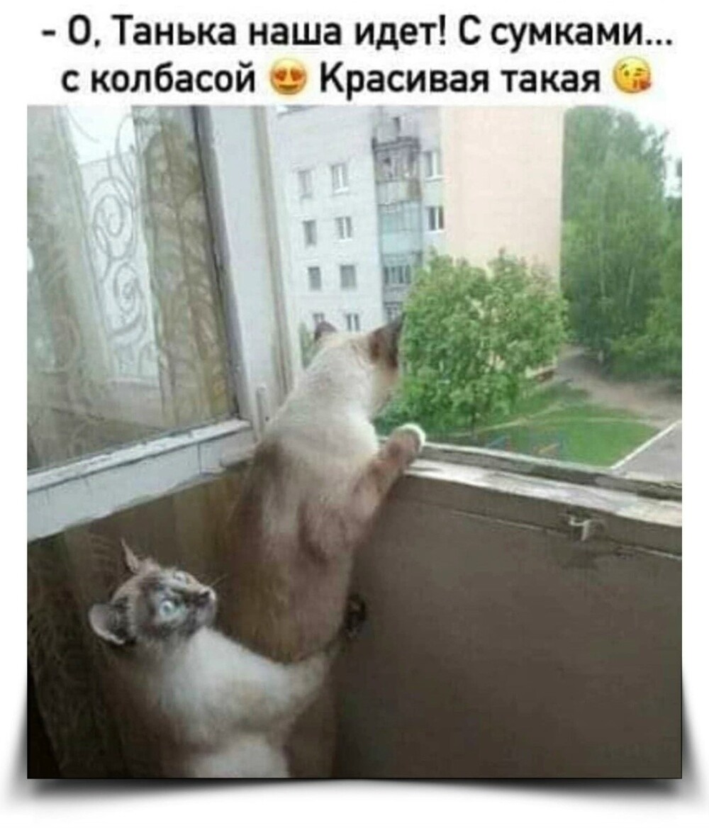 Большая тарелка улыбатора