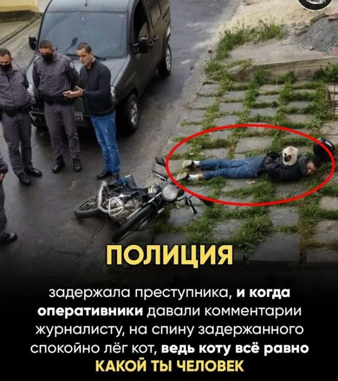 Большая тарелка улыбатора