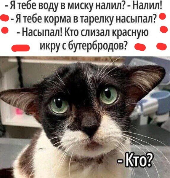 Большая тарелка улыбатора