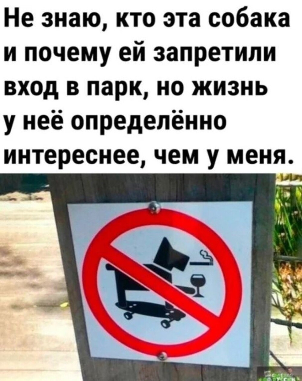 Большая тарелка улыбатора