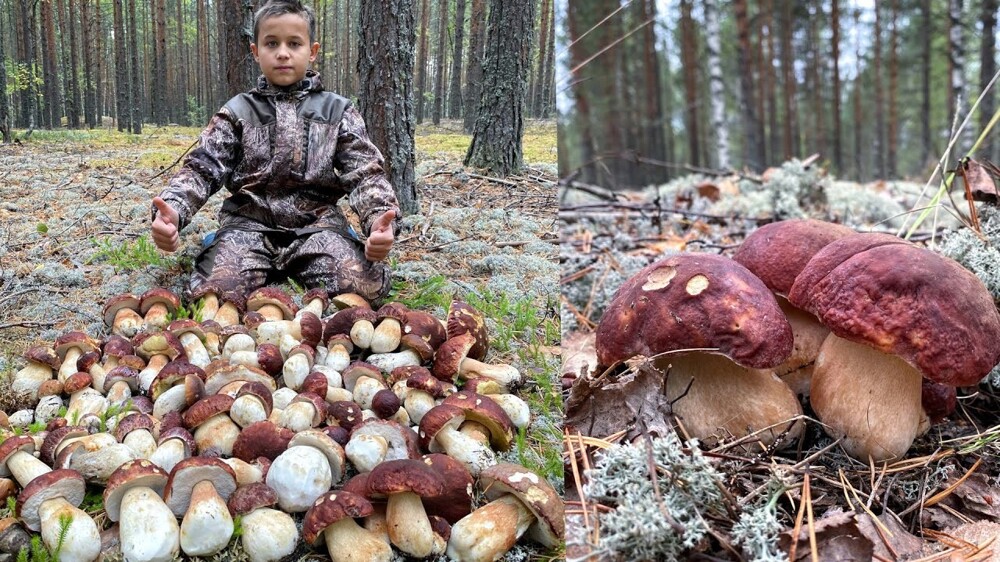 На жарёху