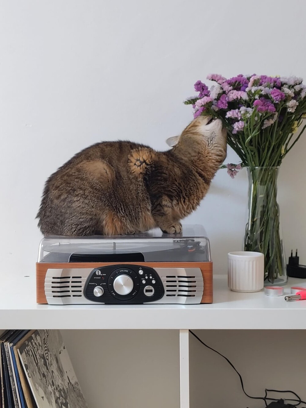 23. Несоответствие концепции надо ликвидировать