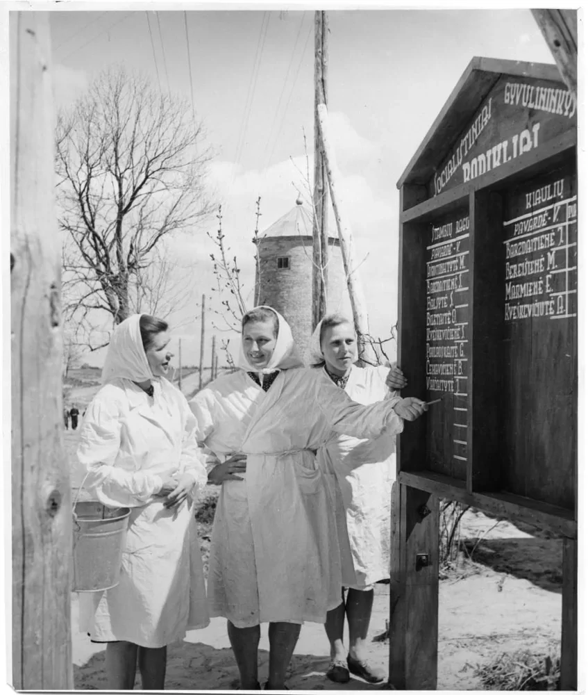 Передовые доярки знакомятся с показателями работы животноводов и полеводов. Литовская ССР