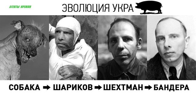 Политическая рубрика от&nbsp;NAZARETH за&nbsp;18.01.26. Новости, события, комментарии - 1985