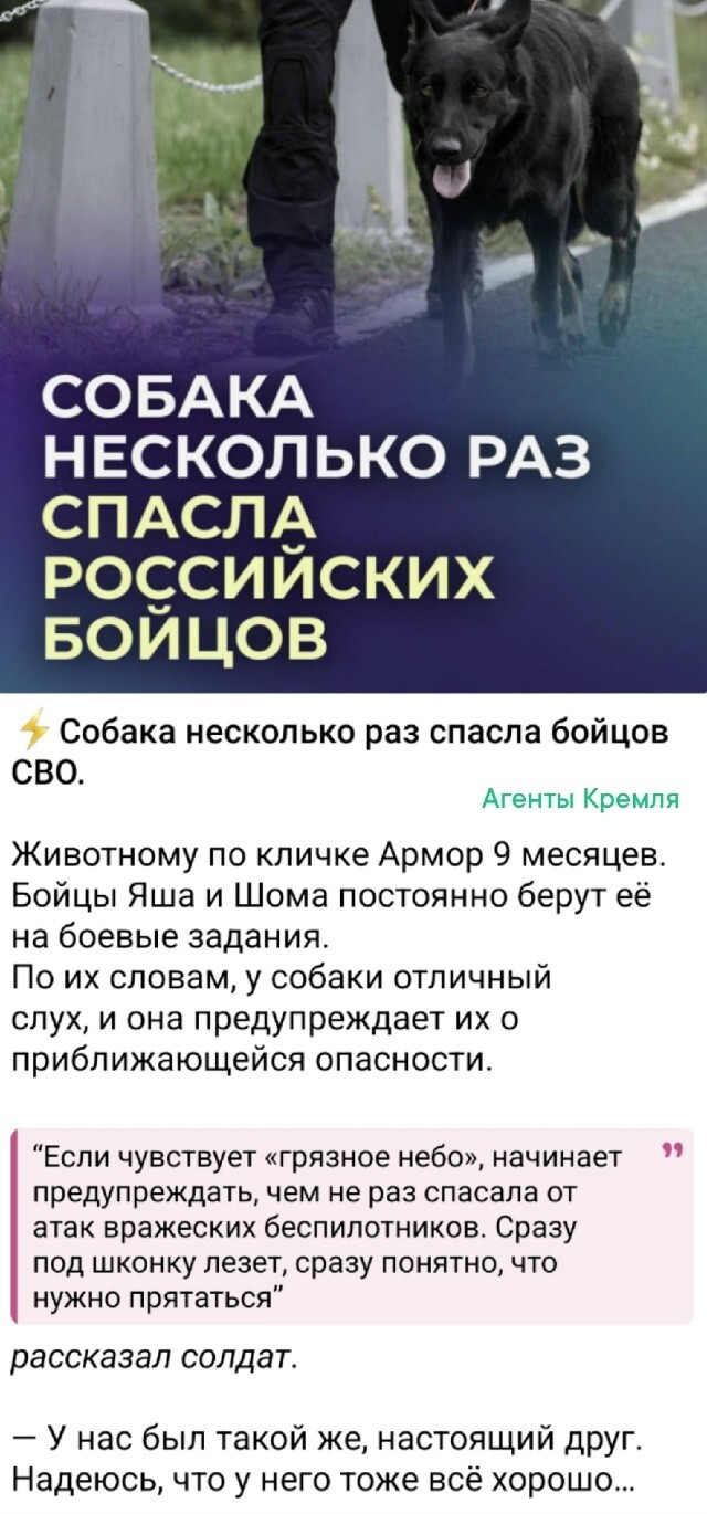 Хвостатый напарник