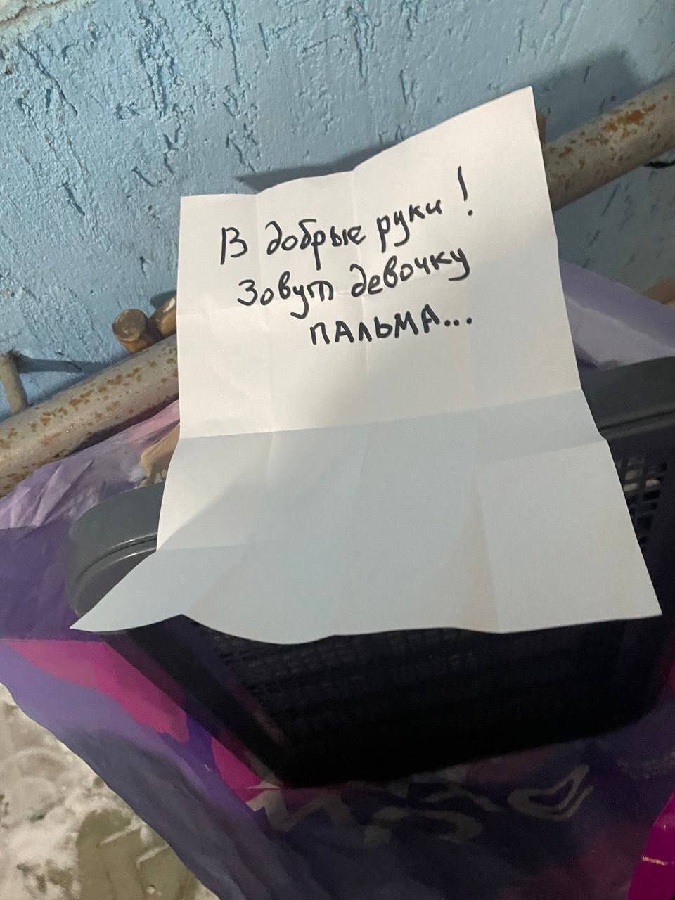 «Сваливаем, ты была хорошая»: хозяева привязали щенка у подъезда и оставили на морозе в Нижнем Новгороде