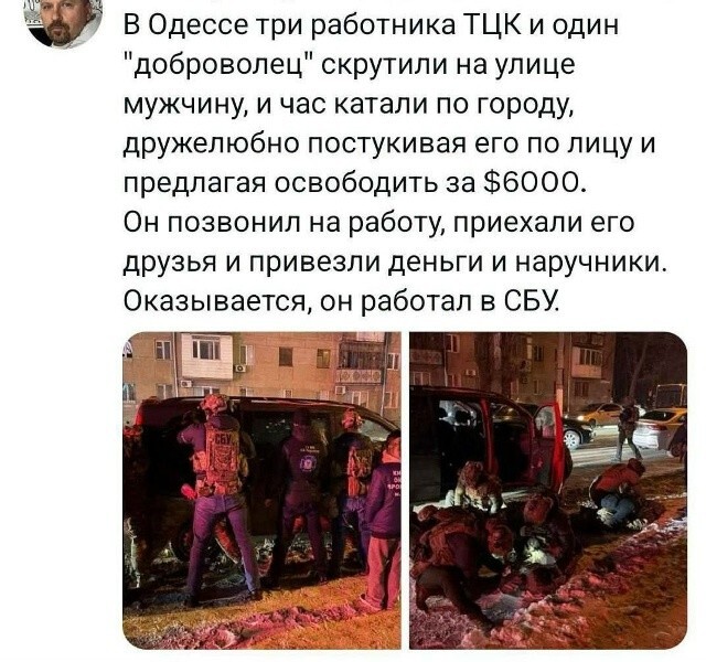 Пауки в банке. «Никого не жалко, никого...»