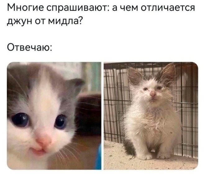 Смешные картинки