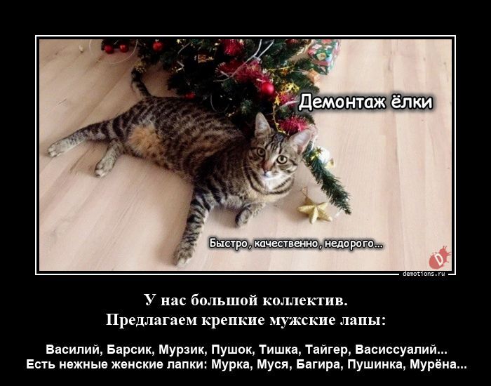 Забавные демотиваторы