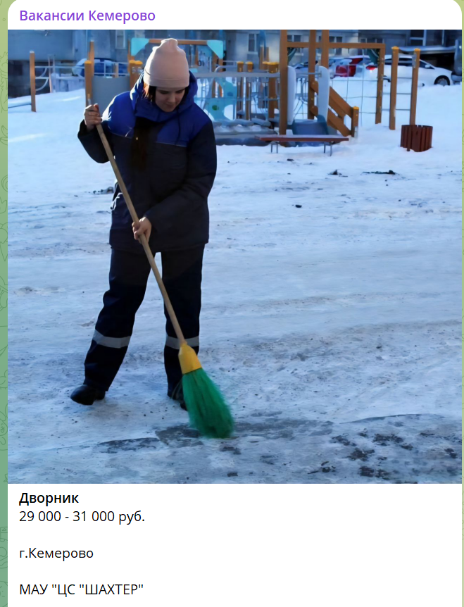 Названы самые востребованные профессии в России в 2026 году