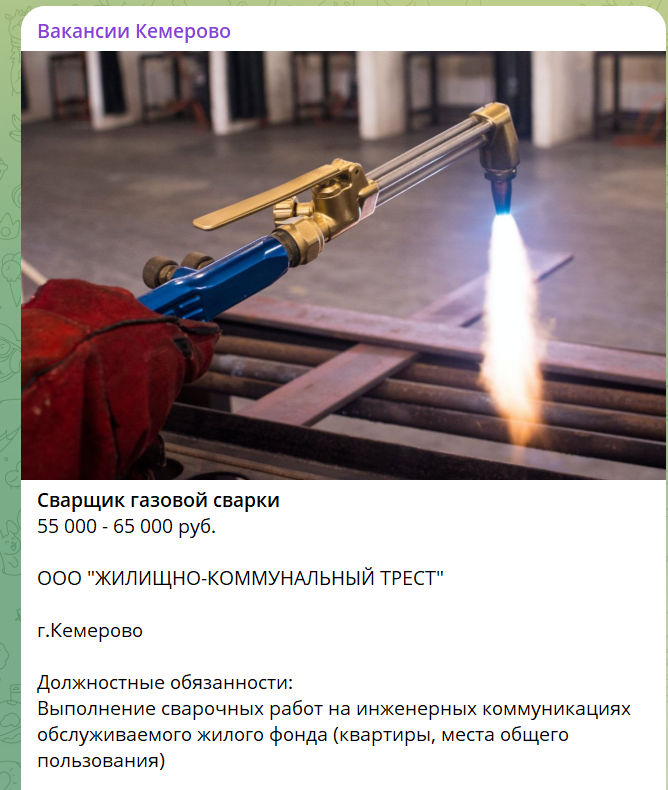 Названы самые востребованные профессии в России в 2026 году