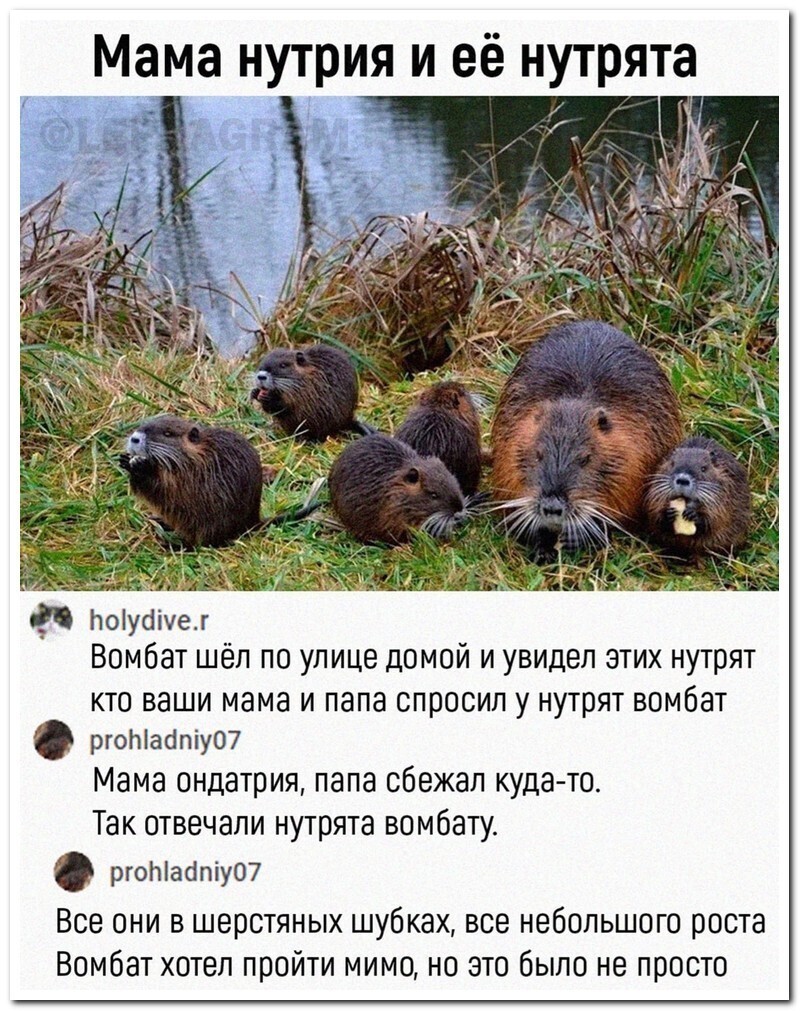 Смешные картинки