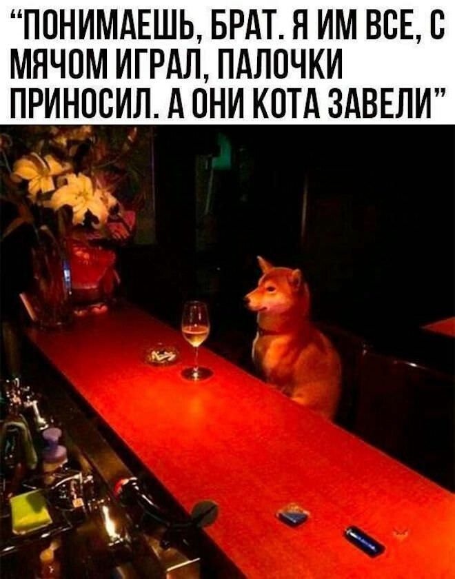 Смешные картинки